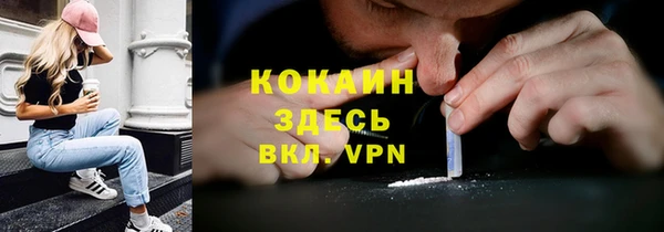 кристаллы Гусь-Хрустальный