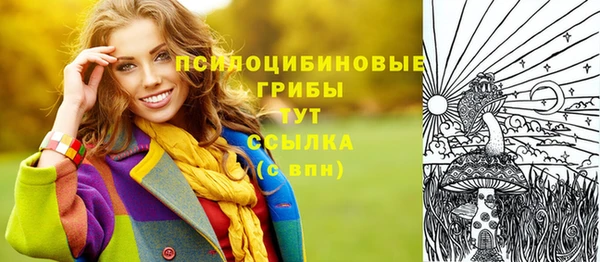 кристаллы Гусь-Хрустальный