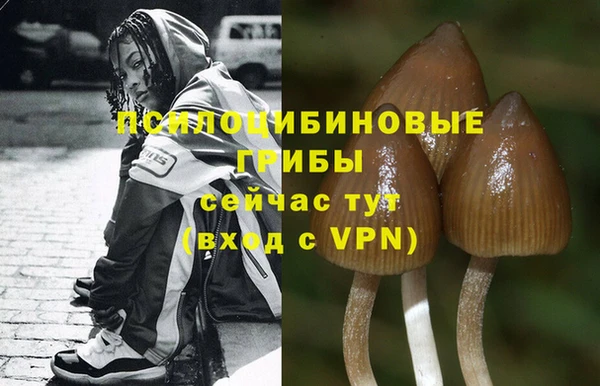 кокаин премиум Гусев
