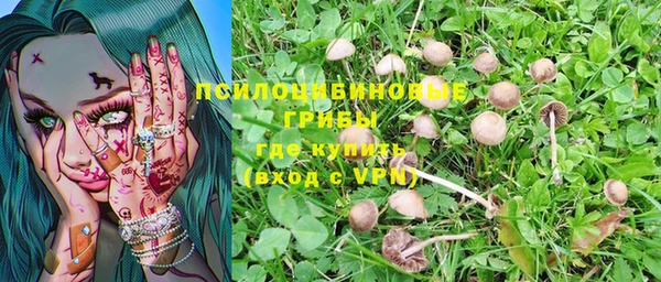 кокаин премиум Гусев
