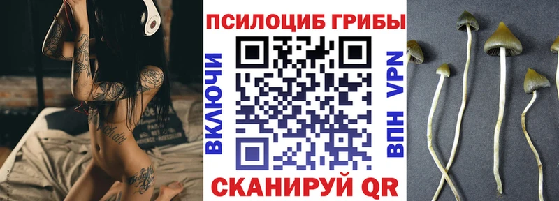 Галлюциногенные грибы GOLDEN TEACHER  Купить где  Новотроицк 