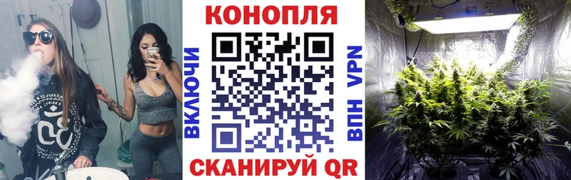 Купить где Новотроицк Марихуана OG Kush